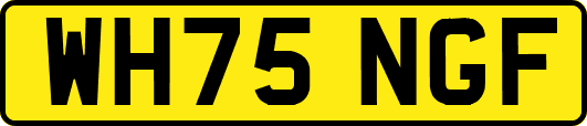 WH75NGF