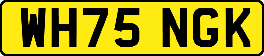 WH75NGK