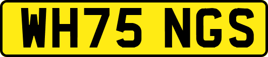WH75NGS