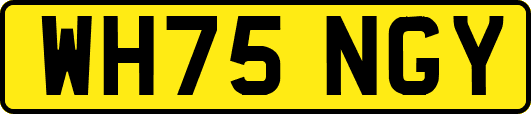 WH75NGY