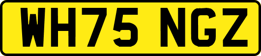 WH75NGZ
