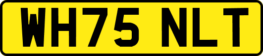 WH75NLT