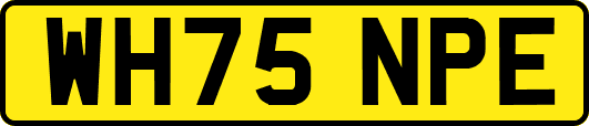 WH75NPE