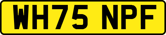WH75NPF