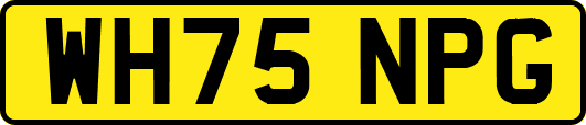 WH75NPG