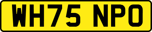 WH75NPO