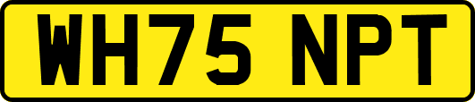 WH75NPT