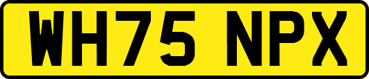 WH75NPX
