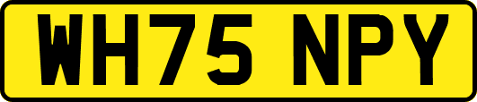 WH75NPY
