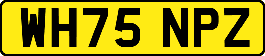 WH75NPZ