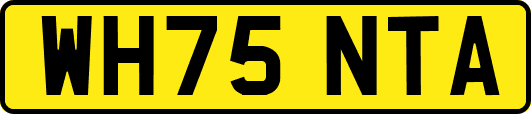 WH75NTA