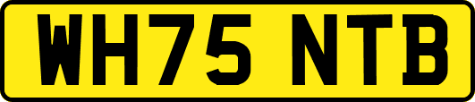 WH75NTB