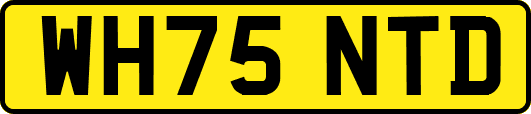 WH75NTD