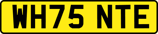 WH75NTE