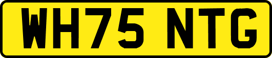 WH75NTG
