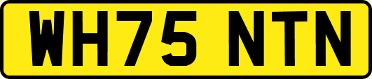 WH75NTN