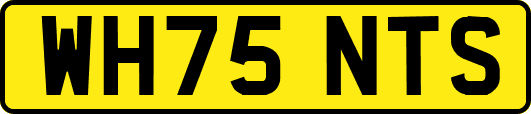 WH75NTS