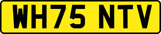 WH75NTV