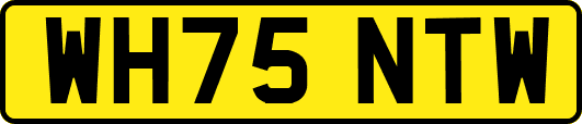 WH75NTW