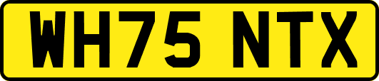 WH75NTX