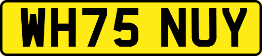 WH75NUY
