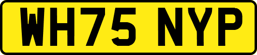 WH75NYP