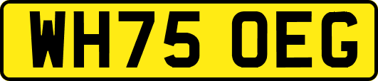 WH75OEG