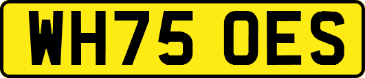 WH75OES