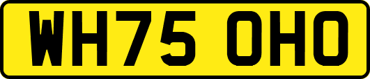 WH75OHO