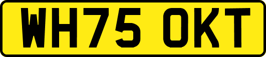 WH75OKT