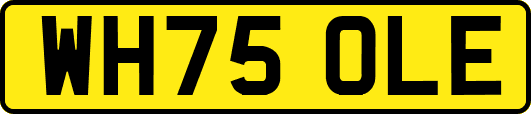 WH75OLE