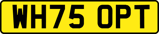 WH75OPT