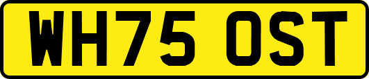 WH75OST