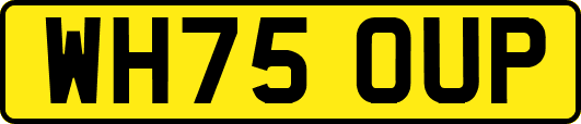 WH75OUP