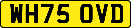WH75OVD