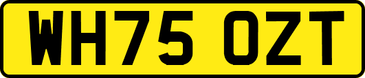 WH75OZT