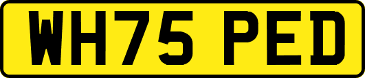 WH75PED
