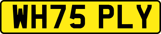 WH75PLY