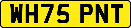 WH75PNT