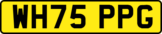 WH75PPG