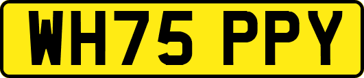 WH75PPY