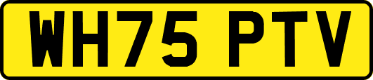 WH75PTV