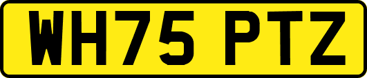 WH75PTZ