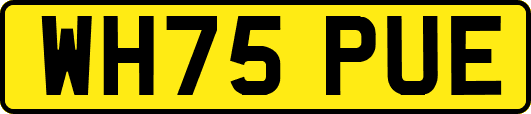 WH75PUE
