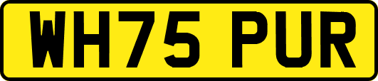 WH75PUR