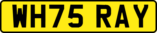 WH75RAY