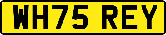 WH75REY