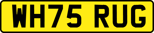 WH75RUG