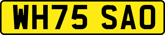 WH75SAO