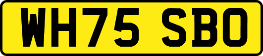 WH75SBO